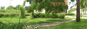 Aménagement paysager du Jardin de Traverse et jeux d'eau