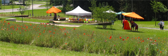 Aménagement paysager du parc urbain Le Petit Bois à Dole