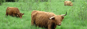  Etude paysagère et diagnostic de territoire des sites classés de Franche Comté